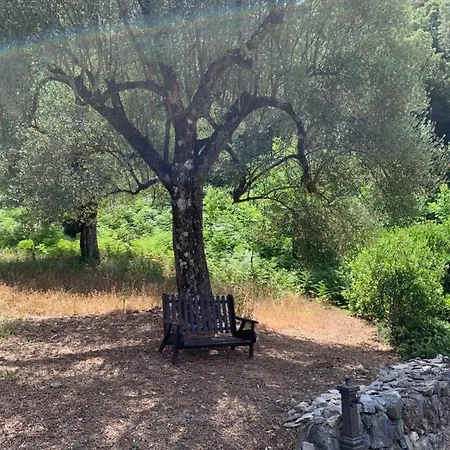 I Suoni Di Valle Martina * Poderia
