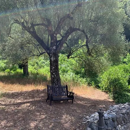 I Suoni Di Valle Martina 3* Poderia