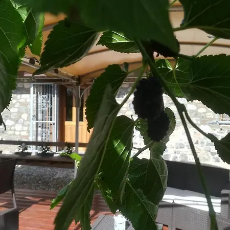 Bed & Breakfast I Suoni Di Valle Martina Poderia
